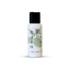 S & C Favorites Hand & Body Lotion