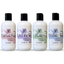 S & C Favorites Hand & Body Lotion